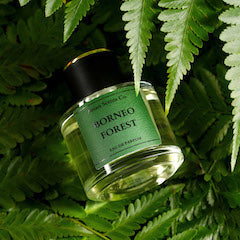 Borneo Forest Eau de Parfum (EDP)